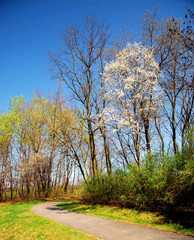 Autumn in Canada / Near Scarborough Bluffs Park, Scarborough, Ontario, Canada: