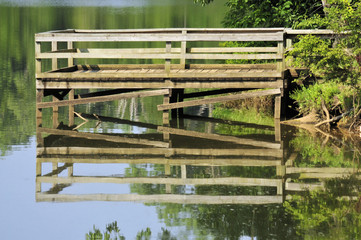 Obraz premium Pier Reflection / The wetlands of south Florida
