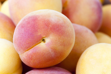 ripe apricots .  close-up  
