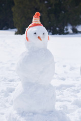 Obraz premium winter snowman