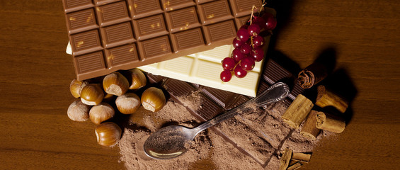 Chocolate bar assortment with hazelnut, redcurrant and cinnamon