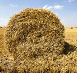 haystacks straw  . summer