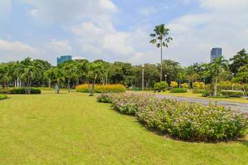 Chatuchak park in bangkok Thailand