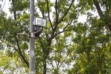 Chatuchak park in bangkok Thailand