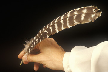 Quill pen