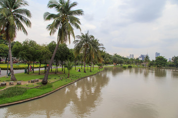 Fototapeta na wymiar Chatuchak park in bangkok Thailand