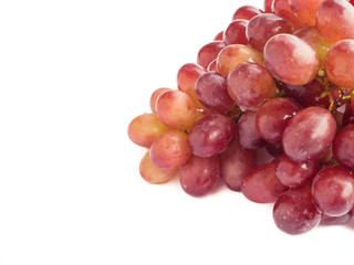 Red grape isolated on white background close up with copy space
