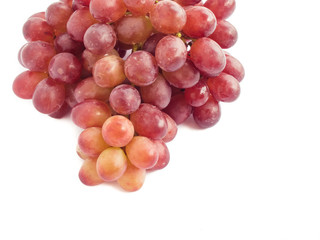 Red grape isolated close up with copy space