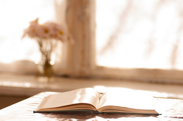  book on the table near the window in the morning zvetina the wi