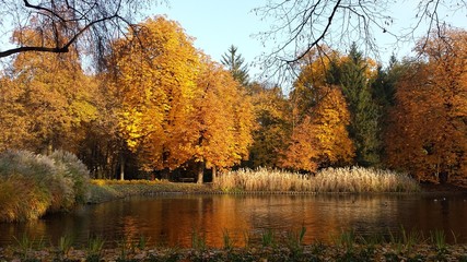 Lazienki park in Warsaw during autumn - 94903867