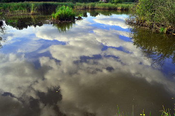 staw  © wedrownik52