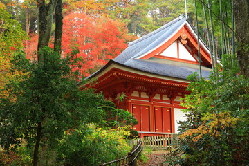 世界遺産　平泉中尊寺 達谷窟毘沙門堂