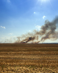 Fototapeta na wymiar Fire in the field 