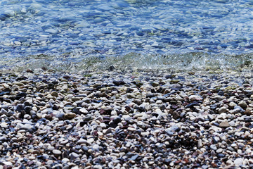   beach. close-up. Adriatic Sea