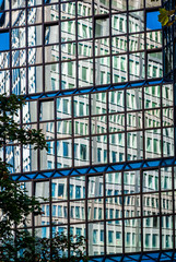 Multiple reflections. Modern glass skyscrapers of Frankfurt am Main