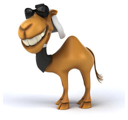 Fun camel