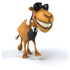 Fun camel