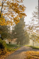 Couleurs d'automne dans le parc du Couvent de La Tourette