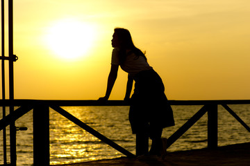 Stock Photo:.Profile of a woman silhouette watching sun on the b