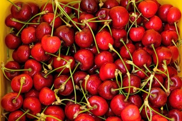Red and sweet cherries