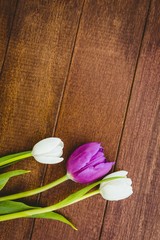 Few purple and white flowers