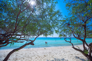 Summer seaside white sand beach with trees, blue sea background