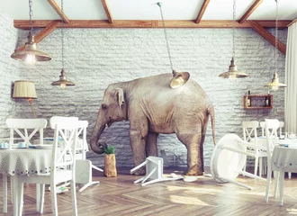 Papier Peint photo Lavable Éléphant calme d& 39 éléphant dans un intérieur de restaurant
