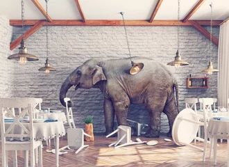 Fotobehang The elephant  in a restaurant © Victor zastol'skiy