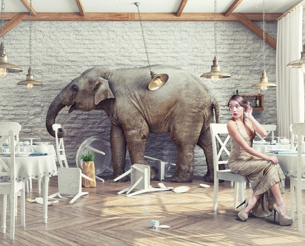  elephant  in  restaurant