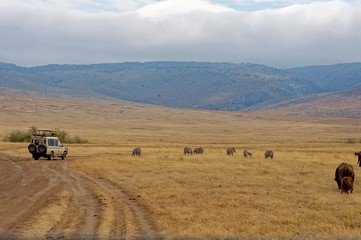 Landscape of Ngorongoro Conservation Area, Tanzania