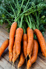 fresh carrots bunch