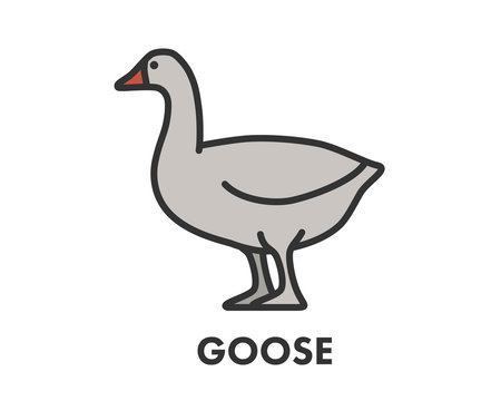 Painted line figure of goose. Vector outline symbol