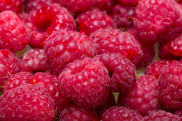 A beautiful selection of freshly picked ripe red raspberries.