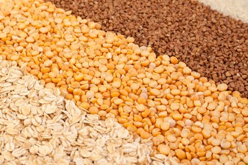 Three types of cereals closeup