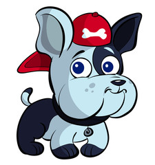 Obraz premium cute puppy bulldog 