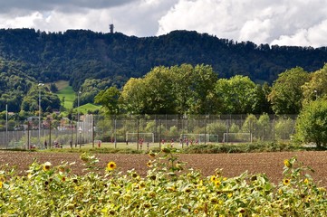Fototapeta na wymiar Öffentlicher Sportplatz Kilchberg mit Albiskette und Felsenegg im Hintergrund 