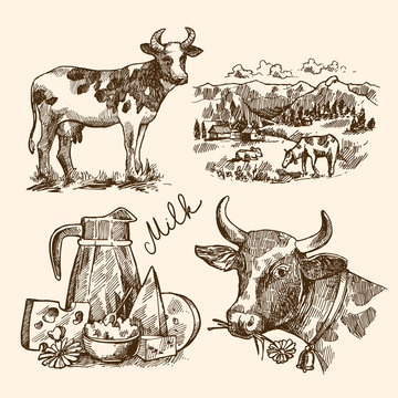 sketch milk product