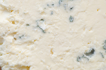 Naklejka na ściany i meble roquefort cheese