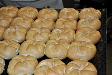 Semmel auf dem Backblech in der Bäckerei