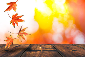 Fototapeta na wymiar Autumn Scene Background