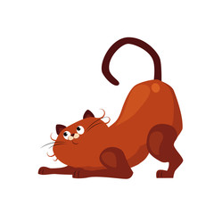 Stretching Cat. Flat Vector Illustration