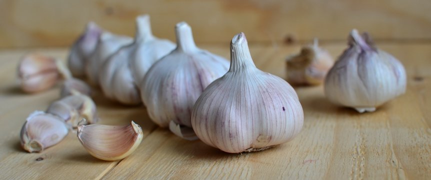 garlic grown in the kitchen garden on a wooden pallet