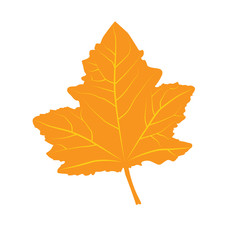Autumn leaf shape vector