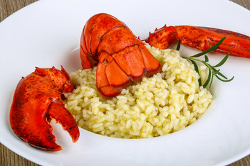 Risotto with lobster