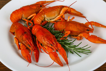 Crayfish