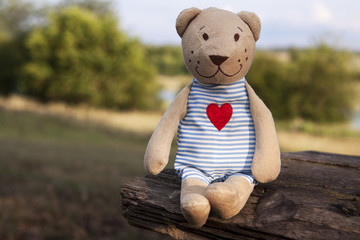 Teddy bear on nature in the summer