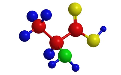 Molecular structure of alanine
