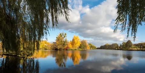 Tuinposter Autumn woodland scene in the Ukrainian Lake © mylisa