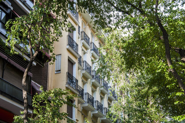 Architecture in Madrid. Trees and buildings sharing spaces in Madrid, Spain.