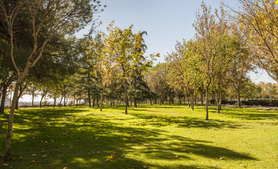 Obraz premium Colorful park in Madrid.